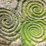 Three large spiral designs carved into stone. There is a mossy coverage over a part of the design but it doesn't obscure it.