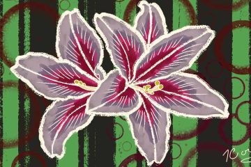 The image is a stylized digital illustration of two large, overlapping flowers with pointed petals. The petals are predominantly purple with deep magenta accents, outlined in white, and feature thin, white veins. The flowers have yellow stamens at their centers. The background consists of vertical green and black stripes, overlaid with transparent, dark red circular patterns of varying sizes. A signature in white is located at the bottom right corner of the image.